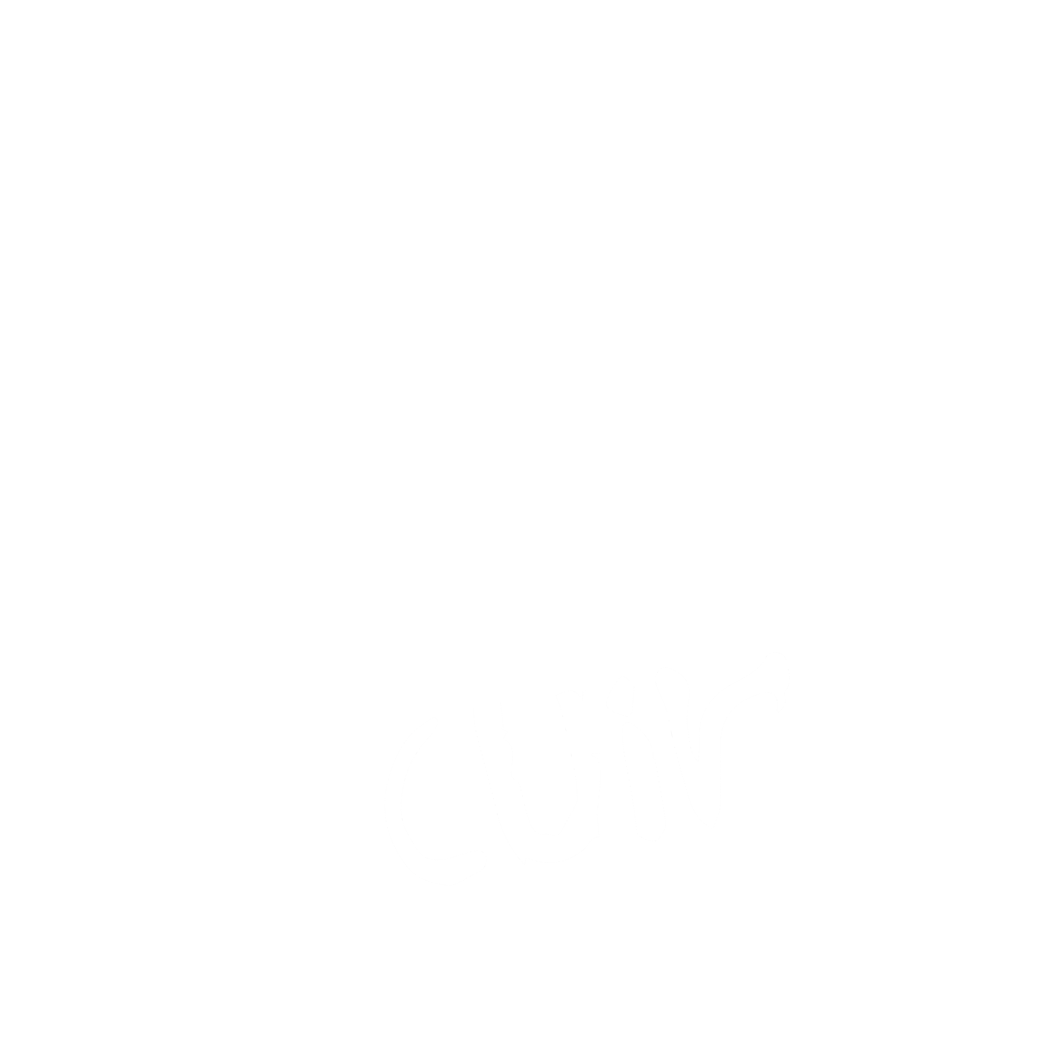 Biblioteca Cuir